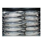 Mackerel Supplier - Spanish Horse Mackerel Price