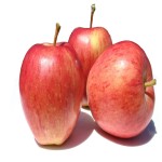 Apples Manufacturer - Fresh Red Apples 2024