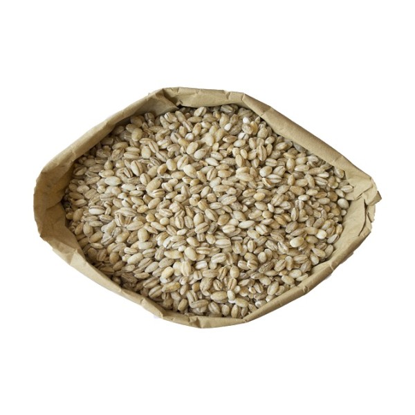 Barley Manufacturer - Premium Grade Organic