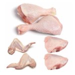Chicken Supplier - Halal Frozen Whole Chicken