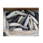 Seafood Manufacturer - Organic 100-200g Frozen