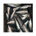 Seafood Manufacturer - High Quality Frozen Horse