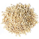 Barley Supplier - Indigenously Grown Natural