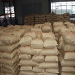 Barley Factory - Best Quality Competitive Price