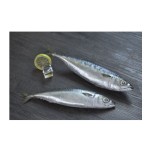 Seafood Manufacturer - High Quality Frozen Horse