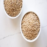 Barley Manufacturer - Foods Compositional Grains