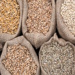 Barley Supplier - Indigenously Grown Natural