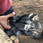 木炭生产厂家-块状加勒比炭15公斤设计装