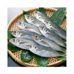 Fish Factory - Organic Frozen Pacific Mackerel