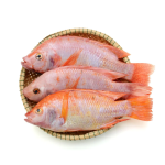 Fish Fillets Manufacturer - Organic Frozen Tilapia
