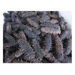 Sea Cucumber Factory - High Quality Dried