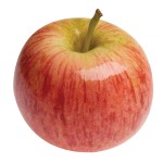 Apples Manufacturer - Fresh Red Apples 2024