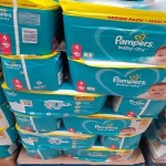 Baby Diapers Supplier - Pampers Baby-Dry Wholesale Pricing