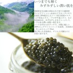 面膜厂家 - 鲟鱼子精华面膜批发