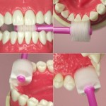 Toothbrush Factory - Ultra-Fine Soft Bristles 360 Degree Babies