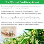 护肤乳液厂家 - 薏仁植物萃取500ml替换装