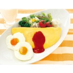 煮蛋器厂家 - 备长炭PP微波安全