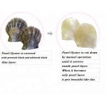 珍珠粉皂厂家 - 70g沐浴露批发