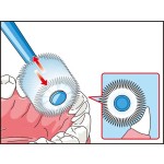 牙刷生产厂家 - 新款耐用婴儿360度