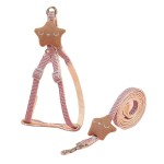 狗牵引绳厂家 - 带绳胸背带散步