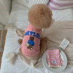 宠物连帽衫生产厂家 - 熊款两腿绒布保暖棉