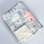 儿童毯厂家 - 双层羊羔绒法兰绒卡通