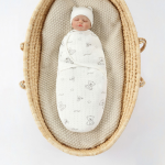 婴儿毯生产厂家 - 欧美防踢襁褓