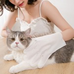 宠物湿巾工厂-宝柔一次性非织造猫狗护肤清洁