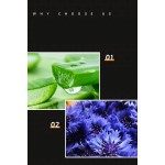 宠物湿巾工厂-环保一次性有机非织造美容湿巾