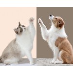 泪痕去除剂工厂-200片安全植物配方去泪痕