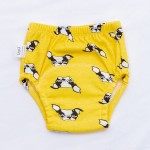 Training Pants Supplier - Waterproof Reusable Cotton Kids