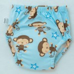 Training Pants Supplier - Waterproof Reusable Cotton Kids