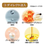 Hair Treatment Supplier - TSUBAKI Premium Repair