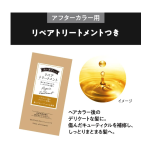 Hair Color Factory - LIESE Creamy Foam Ice Bruges