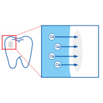 儿童牙膏供应商- DoClear草莓味70克