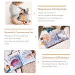 婴儿护理套装厂家 - 灰白色塑料指甲钳