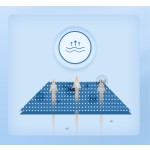 Sanitary Underwear Manufacturer - Disposable Cotton