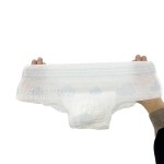 Menstrual Panties Factory - OEM 100% Cotton Surface
