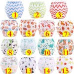 Cloth Diaper Manufacturer - Washable Reusable Adjustable Cartoon