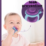 婴儿奶嘴厂家 - 批发无BPA水果蔬菜