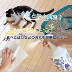 清洁剂供应商-批发电解清洁90克果蔬