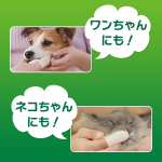 猫砂生产厂家-狮王宠物除臭茶砂控味