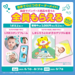 防溢乳垫生产厂家-热销贝亲畅销126片