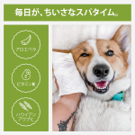 狗玩具供应商-互动棉绳训练磨牙棒