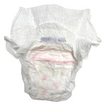 Sanitary Panties Factory - Shenghongda Customizable