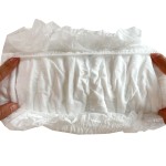 Sanitary Panties Factory - Shenghongda Customizable