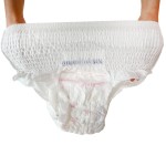 Sanitary Panties Factory - Shenghongda Customizable