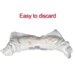 Sanitary Panties Factory - Shenghongda Customizable