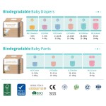 Baby Diapers Factory - Free Sample High Quality