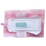 Sanitary Napkin Supplier - Hanhe Women Period Time